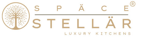 Space Stellar Logo